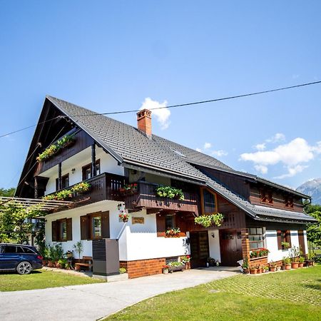 Apartmaji Prezelj ボーヒニ エクステリア 写真