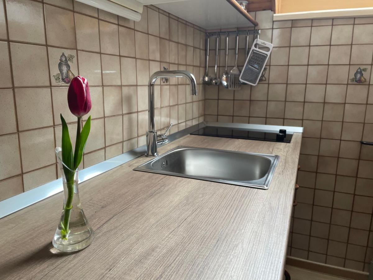 Apartmaji Prezelj ボーヒニ エクステリア 写真