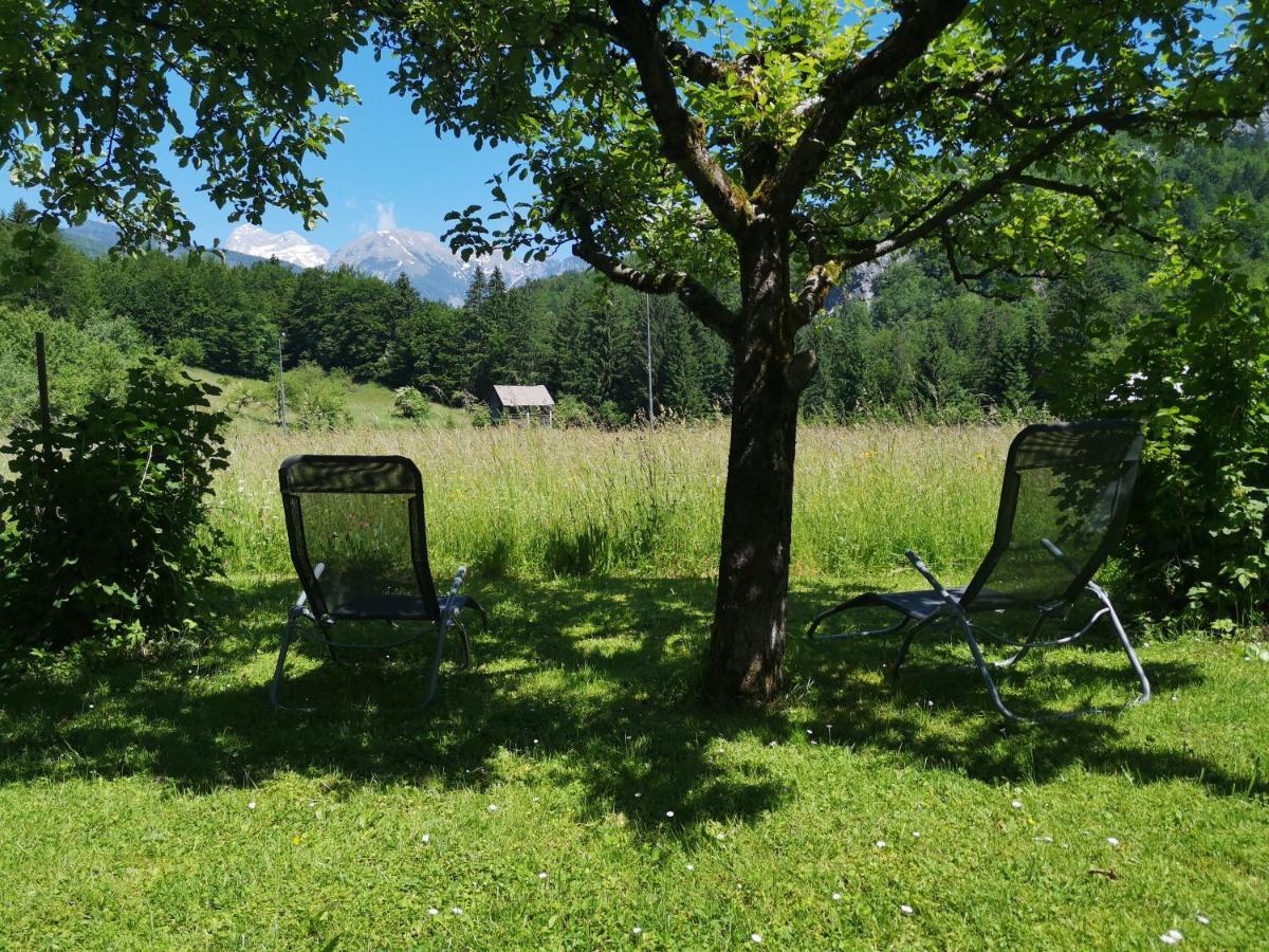Apartmaji Prezelj ボーヒニ エクステリア 写真