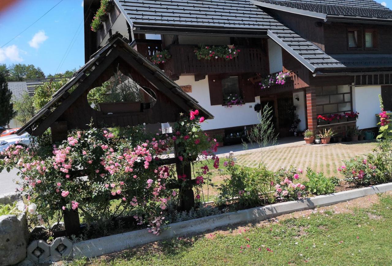 Apartmaji Prezelj ボーヒニ エクステリア 写真