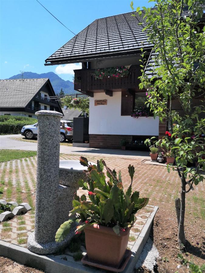 Apartmaji Prezelj ボーヒニ エクステリア 写真
