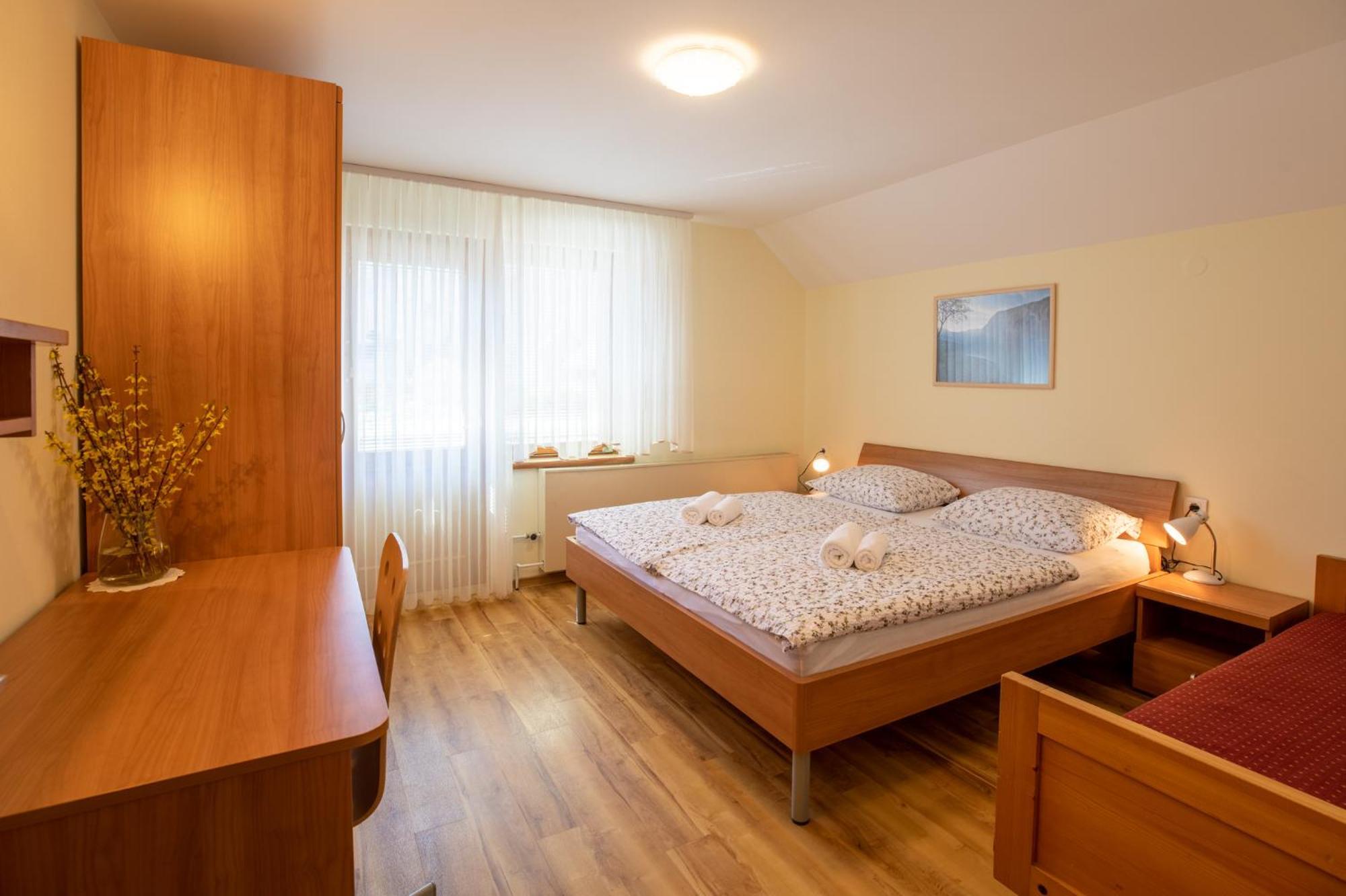 Apartmaji Prezelj ボーヒニ エクステリア 写真