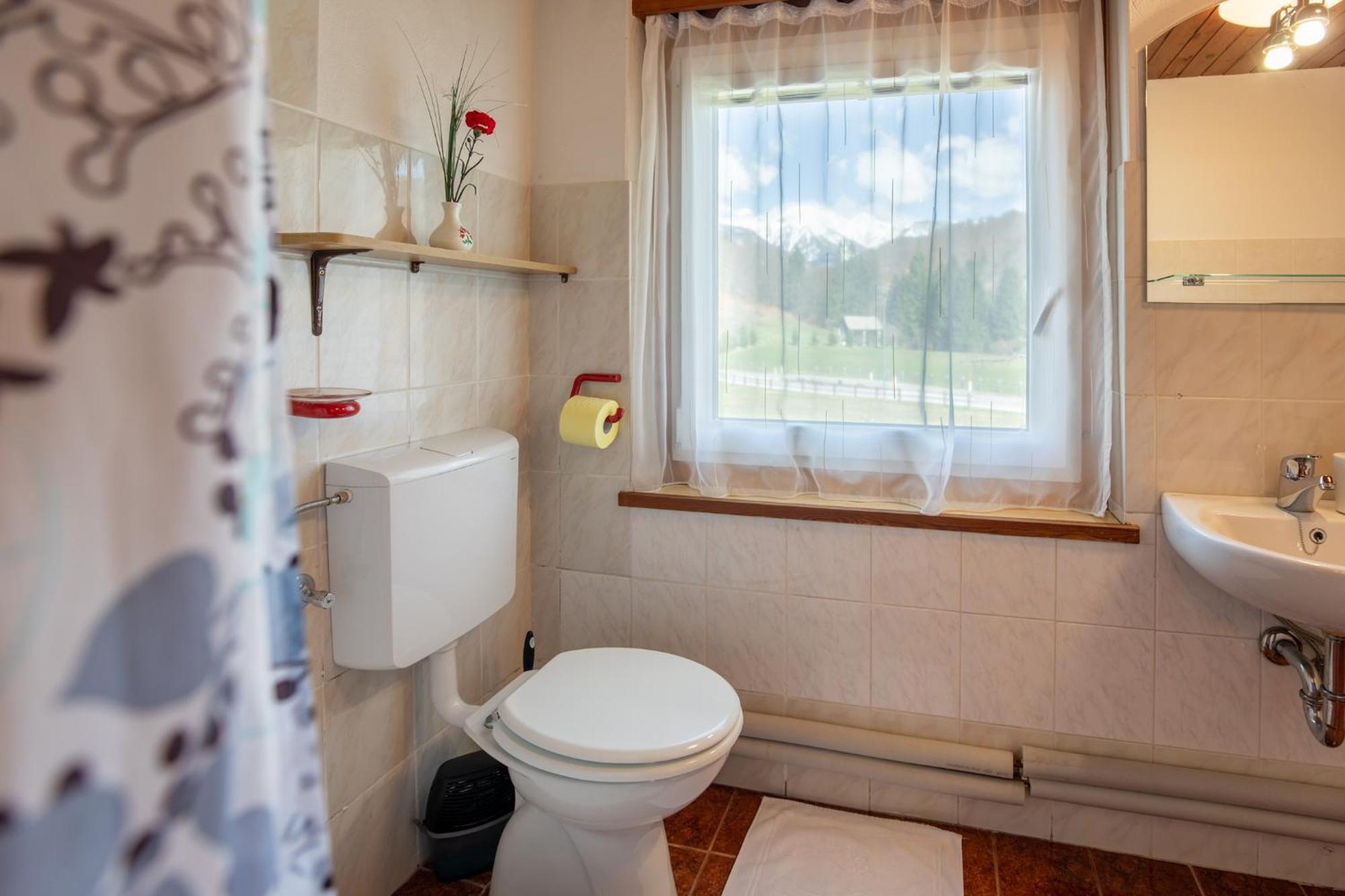 Apartmaji Prezelj ボーヒニ エクステリア 写真